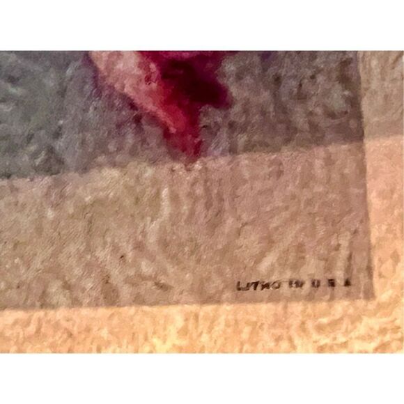 Set of 2 Vintage MCM Roberto Framed Butterfly Flower Botanical Prints Litho - Picture 11 of 15